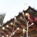 통도사로 이미지