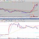금강헬스케어 이미지