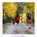 슈퍼맨셀프세차장 | 화진포 자전거 캠핑 후기(3편)