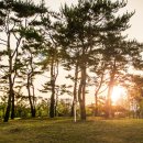 수원청소년문화센터 이미지