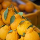 보성상회 이미지