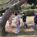 삼운사유치원 이미지