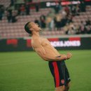 도도독B 이미지