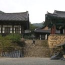 천은사 이미지