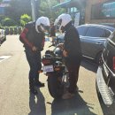 형제조류 이미지