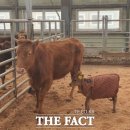 경기수정란이식센터 이미지