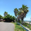 제주조이황토리조트 이미지