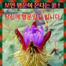 행운을드립니다 이미지
