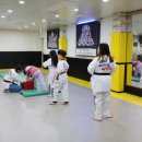 타이거즈태권도장 이미지