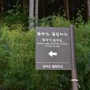 이마트24 감악산출렁다리점 네이버블로그