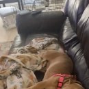 살랑살랑 이미지