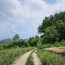 26.6.4(목)논산향적산574m표정1리.황산성.깃대봉.함지봉.주산(왕복)수척골산.국사봉.향적산.무상사13.5km4시간20분 이미지
