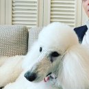 용진유통 이미지