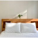 씨투아일랜드 이미지