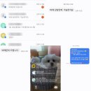 제스얌 | 세종바레 수업 후기｜제스바레에서 배우는 정렬 중심 바디라인 클래스