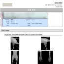 김동물병원 | 충주 동물병원 후기! 용산동물병원 스케일링 + 마취 비용 정보