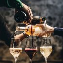 계명대학교 정책대학원 | 26.02.20(금)_대구 계명대학교 정책대학원 와인 클래스_정책·비즈니스 네트워킹을 위한 와인 교양...