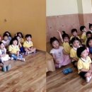 셀라유치원 티스토리