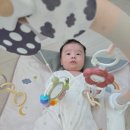 바람개비 | 출산선물 추천 하베브릭스 아기체육관 바람개비 사용시기부터 후기까지