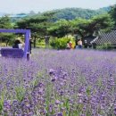 예산식당 이미지