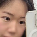 대전 둔산동 속눈썹펌 라무드 자연스럽게 잘하는 곳