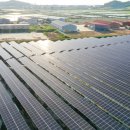 신안햇빛발전소 이미지