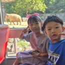 태권도장 채움 이미지