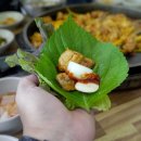 올미닭갈비 티스토리