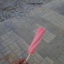 남양쌀상회 | 동네마트) 화성 남양 식자재 마트 (오픈행사)