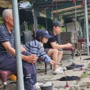 보물섬낚시터 | 일산 근교 아이와 가볼 만한 곳! '보물섬낚시터'에서 손맛 제대로 보고 왔어요! (가족 나들이 추천)