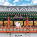 본식당 티스토리