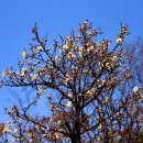 오며가며 이미지