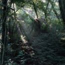 환상숲곶자왈공원 네이버블로그