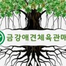 인천금강복싱체육관 이미지