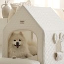 펫하우스 이미지