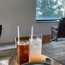 멋쟁이사 이미지