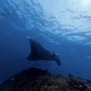 한화바이오밸리 테니스장 | 2026.02월_림샷의 아카이브