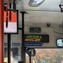 핑계식당 이미지