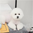 까미랑몽이