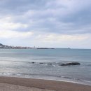 삼양카서비스 | 제주 삼양 바다 앞 근고기 추천 &#39;삼양금돼지&#39; 흑돼지&amp;해산물 한상 후기