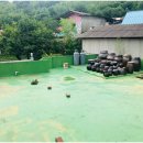 김순옥 태양광발전소 이미지