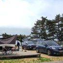 청포대휴야영장 이미지