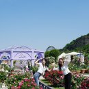 삼성물산(주)에버랜드리조트