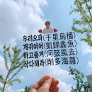 거제탑골냉면 | [일상] 190819~190825 토니야 생일이 하루차이인건 운명인거지?! 생일엔호캉스♥