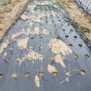 주아농장 이미지