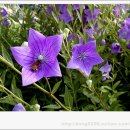 네오웰빙 이미지