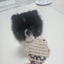 오늘멍밥 | 정성 가득한 오늘멍밥 뜨개장난감, 우리 강아지의 최애템이 되었어요