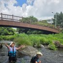 솜반내(솜반천) 이미지