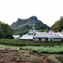 울릉마리나관광호텔 이미지