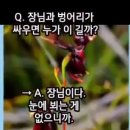 밥이면&밥마다 Daum카페